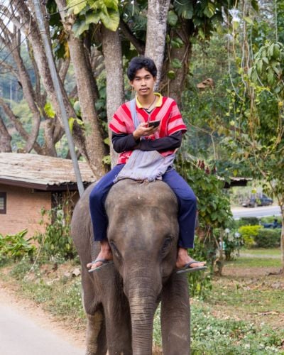 Un hombre usa su tel&eacute;fono celular mientras monta un elefante en Tailandia.